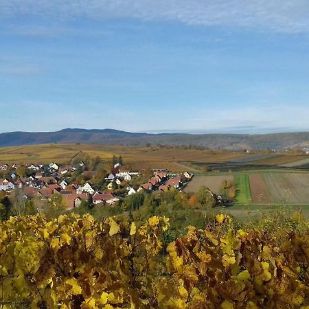 Scharrachbergheim-Irmstett Le Repaire Des Hirondelles - Le Colombageヴィラ エクステリア 写真