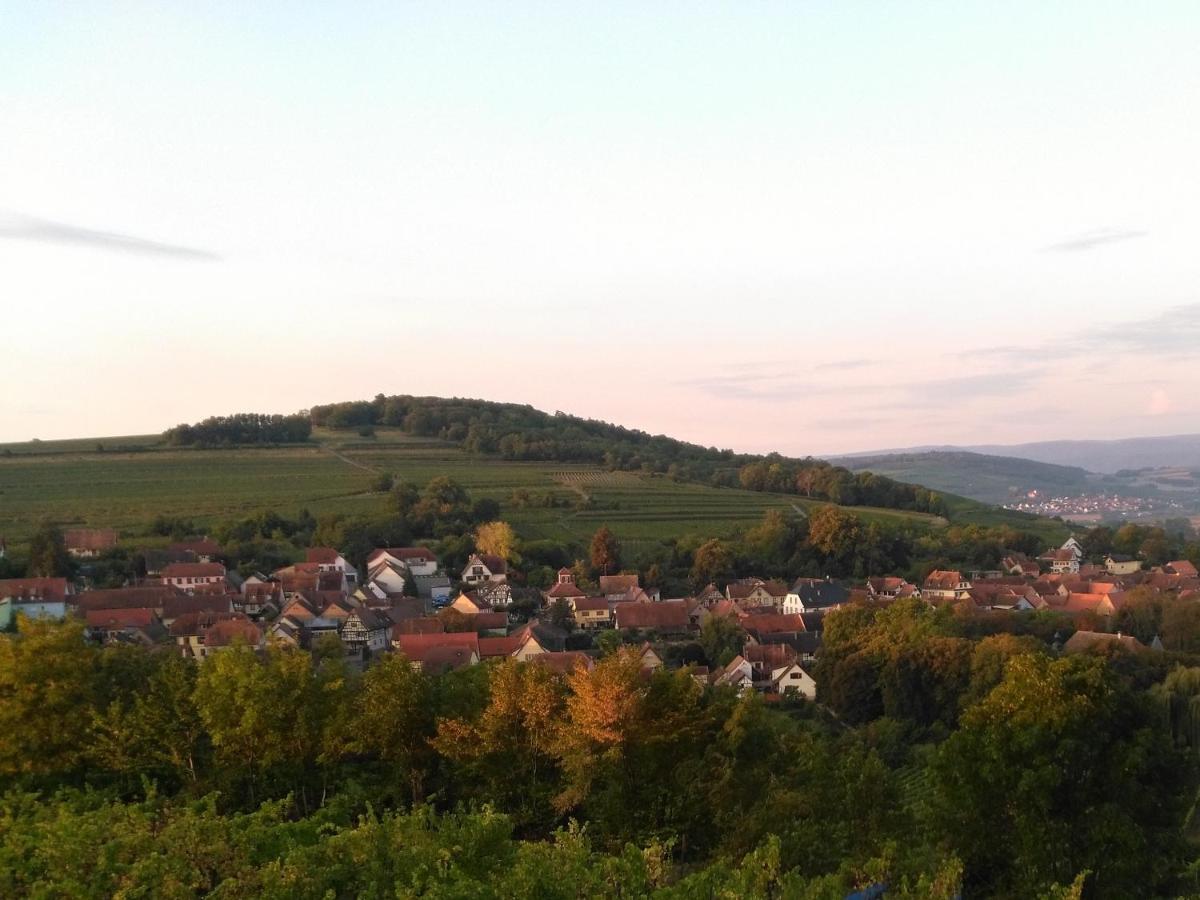 Scharrachbergheim-Irmstett Le Repaire Des Hirondelles - Le Colombageヴィラ エクステリア 写真